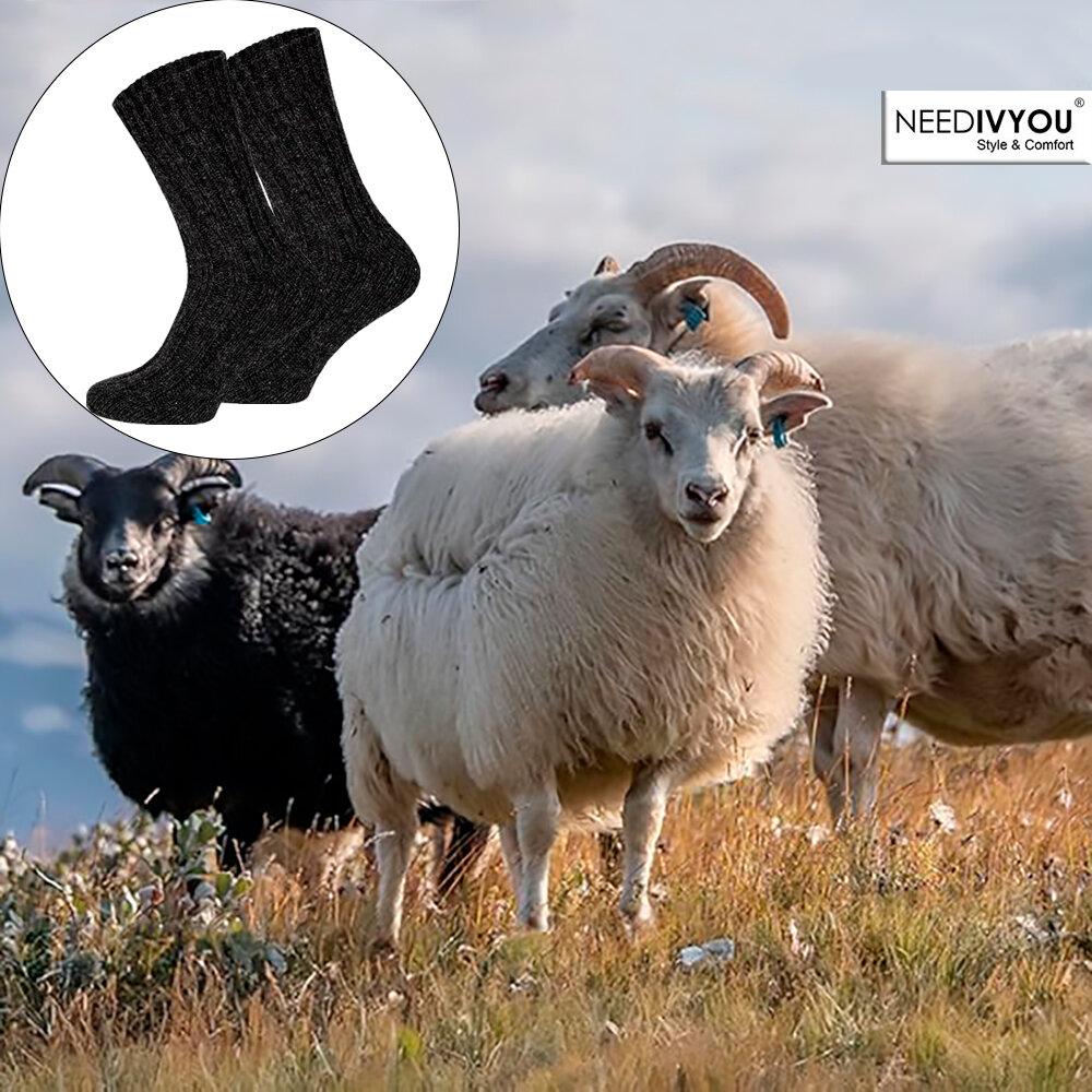 Зимние носки 100% ШЕРСТЬ Очень теплые кашемировые 2 пары шерстяные носки NEEDIVYOU