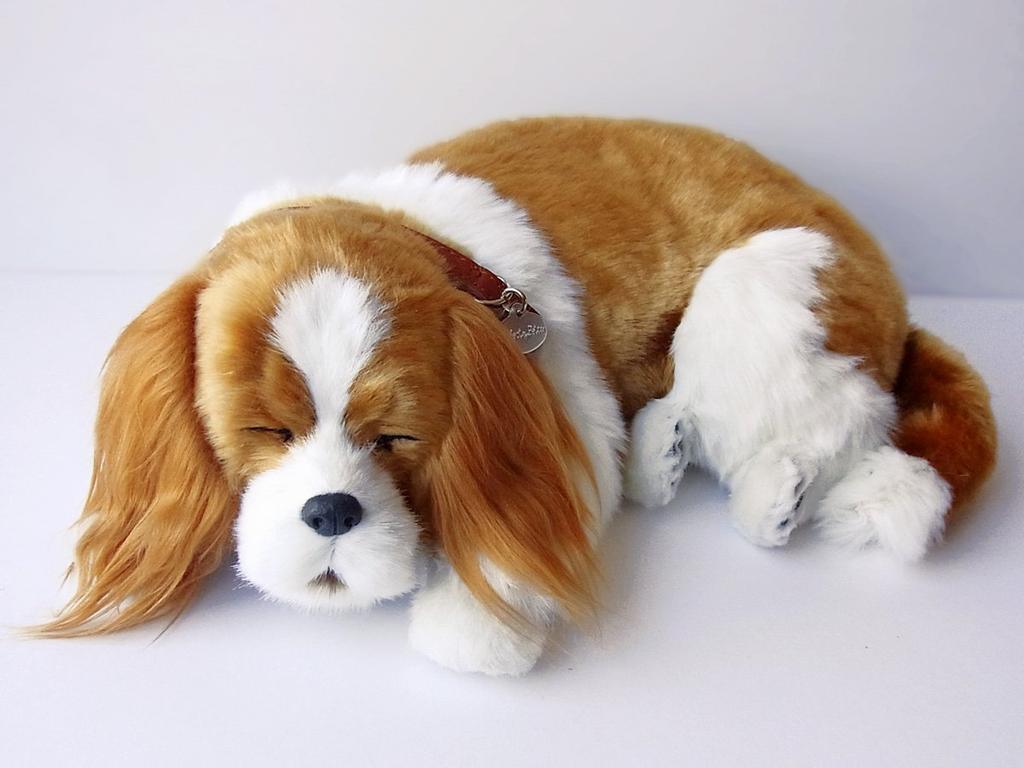 Ninian and Kino Perfect Pet (Large) Cavalier King Charles Spaniel Plush Dog, Realistic, Lifelike, Animal-Like Stuffed Animal, Soothing, Moving,