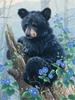 5D Full Drill Diamond Painting Animal Bear Diamond Embroidery Mosaic Forest Cross Stitch Kits Decoration For Home