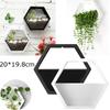 Nordic Style Wooden Decor Wall Mount Hexagonal Frame Books Toys Flower Pot Storage Shelf Holder Crafts Shelves White / Black 20*19.8 Cm