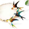 Women Swallow Bird Enameled Animal Brooch Pin Lapel Badge Jewelry Accessory