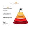Xueersi Peiyou Pro Student Learning Tablet (CN version)