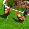 Stake Rooster Hen Chicken Sculpture Yard Garden Animal Statue Figurine Stakes Decoration Acrylic Backyard Lawn Sign Ornament