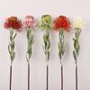 60cm Long Natural Small Clear Artificial Needle Mat Flower Living Room Flower Arrangement Wedding Decoration Red