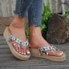 Summer New Large-size Toe Sandals Women, Outdoor Casual Beach Shoes Platform Trend Flip-flops Women
