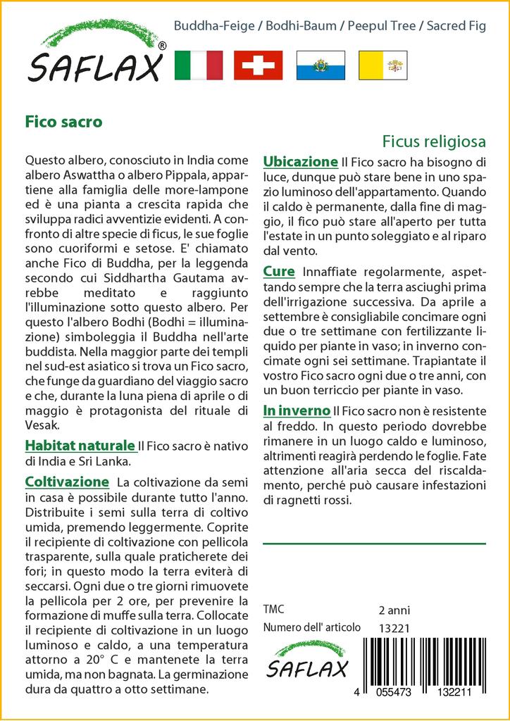 SAFLAX Peepul Tree / Sacred Fig - 100 семян - Ficus religiosa