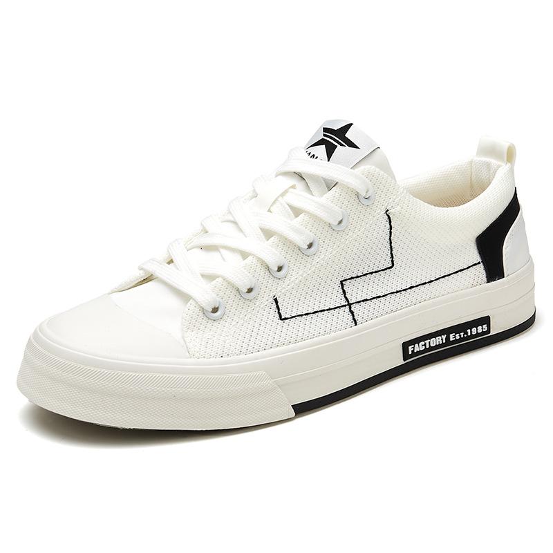 New Summer Mens Shoes Korean Versatile Design and Trendy Casual Mens Shoes Low Top Flat Shoes