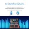 Runpu RP-STY16EX 16-Channel Professional Digital Mixer (CN version)