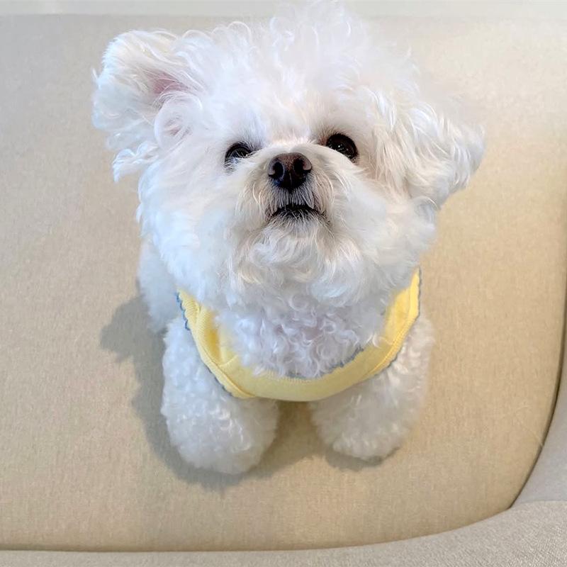 Pet Clothes Dog Clothing Summer Small Dog Vest Bichon Teddy Pomeranian Poodle Cat Spring And Summer Sweet Style