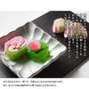 Fukuya Hanazono Assortment of Seasonal Jellies and Rakugan Rice 20 Kyoto Japanese Gift Message Available 1 (small) (rakugan Crackers) Sweets, Gift,