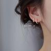 Women's Sweet Diamond Circle Earrings, Trendy S925 Silver Needle, High-Grade and Light Luxury Ear Buckles for a Tempting Look
