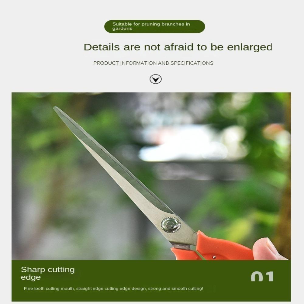 Садовый инструмент Садовые секаторы из нержавеющей стали Ножницы для сбора фруктов Ножницы для бонсай