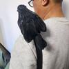 Halloween Black Feathered Crow Lifesize Realistic Raven Prop Handmade Artificial Birds Model for Indoor Outdoor Halloween Party Decor