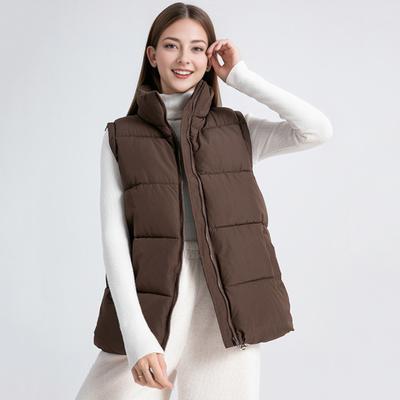 Женский зимний жилет с воротником-стойкой, толстая безрукавка, утепленная верхняя одежда с карманами, застежка-молния