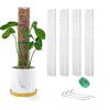 Вьющееся растение Водная моховая колонна Комнатный моховой столб Растения Пластиковый столб для поддержки сфагнума Палочки для горшечных растений