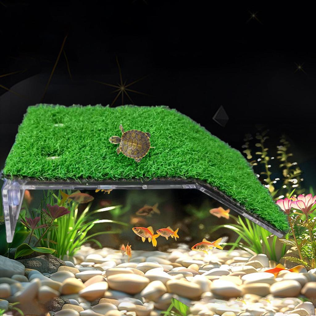 Turtle Basking Platform Accessories Aquarium Feeding Resting Decorative Multi Functional Supplies