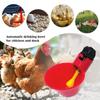 6/12Pcs Chicken Quail Hanging Water Cups Nipple Drinking Bowl Birds Water Bowl Drinker Cups for Backyard Automatic Poultry