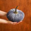Имитация тыквы Мягкая Милая Плюшевая Подушка Украшение для Праздничных Вечеринок Различные Цвета Чучело Хэллоуин Рождество Украшение для Дома Игрушка