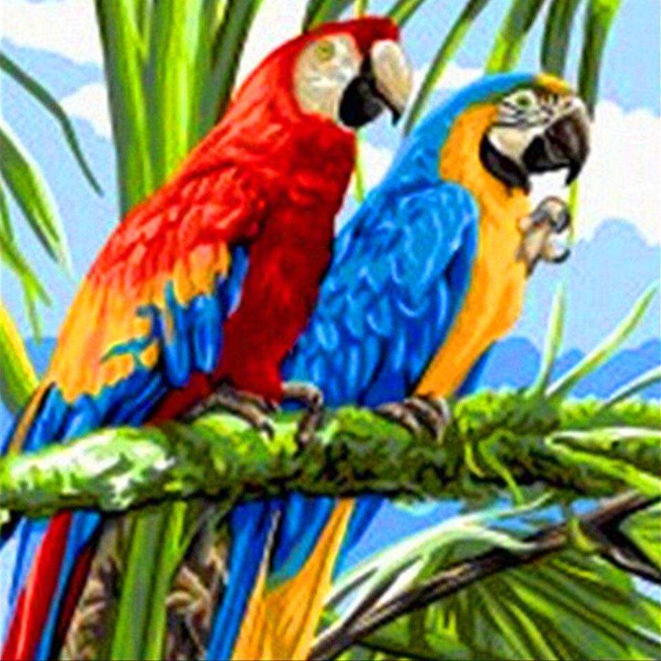 5D DIY алмазная живопись животное попугай Сова птица вышивка крестиком полная дрель Алмазная вышивка мозаика художественная картина Декор из страз