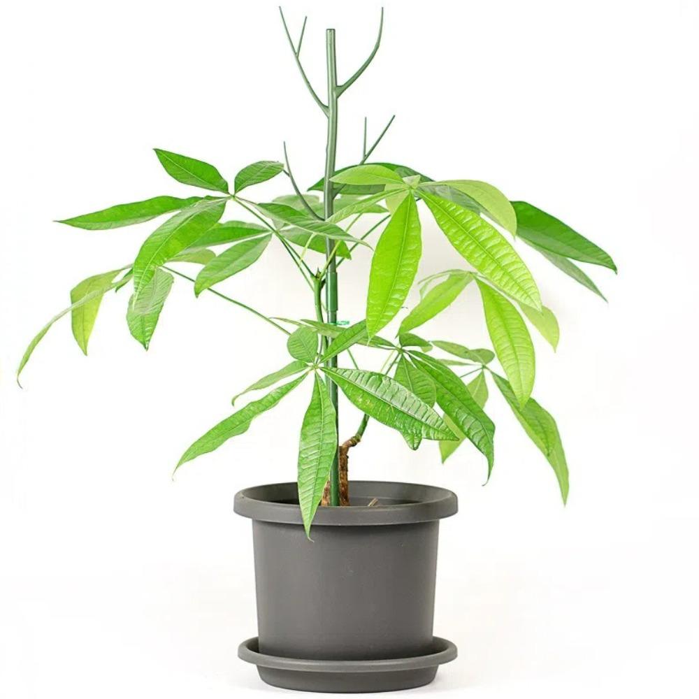 2 шт. противополегающие опоры для растений пластиковые палочки для растений горшечные растения