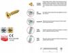 Hardened wood screws 45x45mm 20pcs PZ2 gold