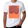 Paige TShirt Comfortable Daily Wear Tee