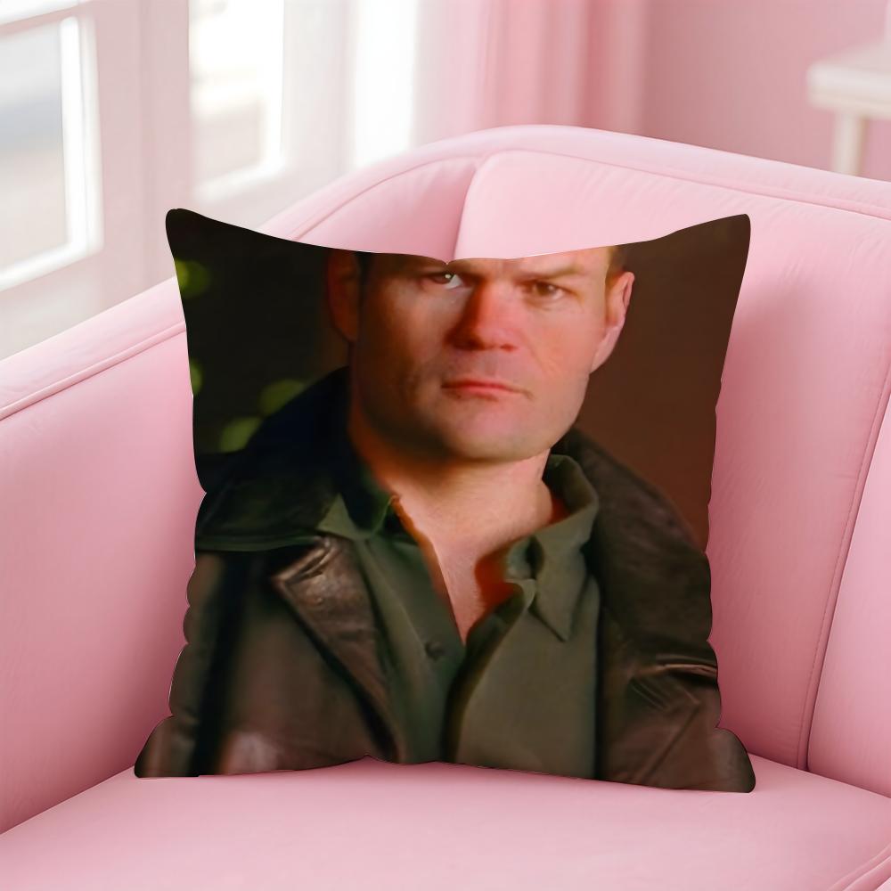 CChris Bauer Cushion Cover Pillow Case Soft Friendly Fabric Concealed Zipper