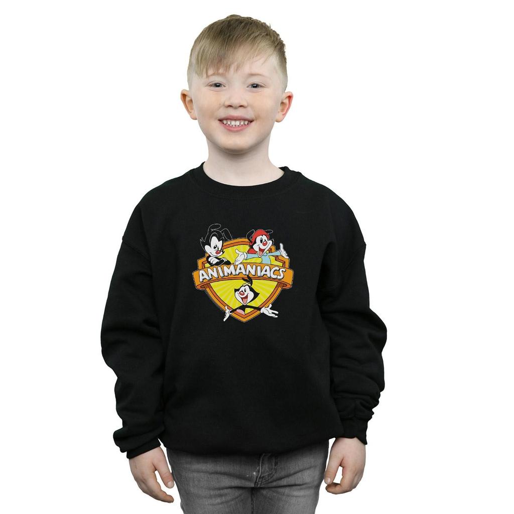 Animaniacs Boys Logo Crest Sweatshirt