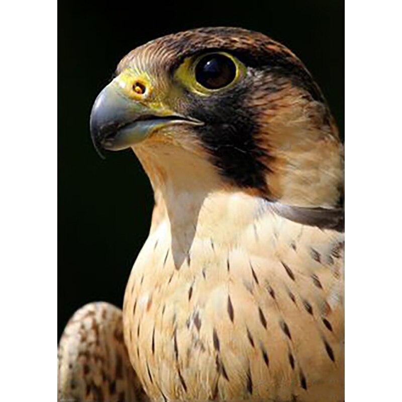 5D DIY Алмазная картина Белоголовый орлан Алмазная вышивка животных вышивка крестиком полная круглая дрель ремесла ручной домашний декор подарок