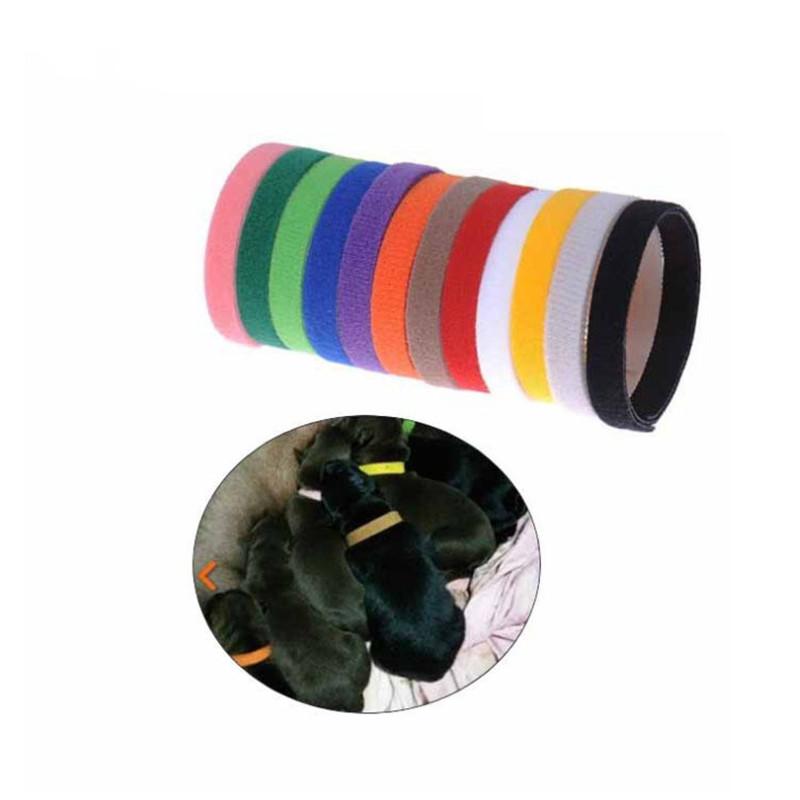 12 Pieces/set Adjustable Puppy Collar in Newborn Nylon Pet Color Small Dog Collar Kitten Collar Marker Rope Supplies