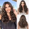 Dark Brown Mixed Light Brwon Medium Long Wavy Synthetic Lace Part Hair Wigs For Women Heat Resistant Daily Use