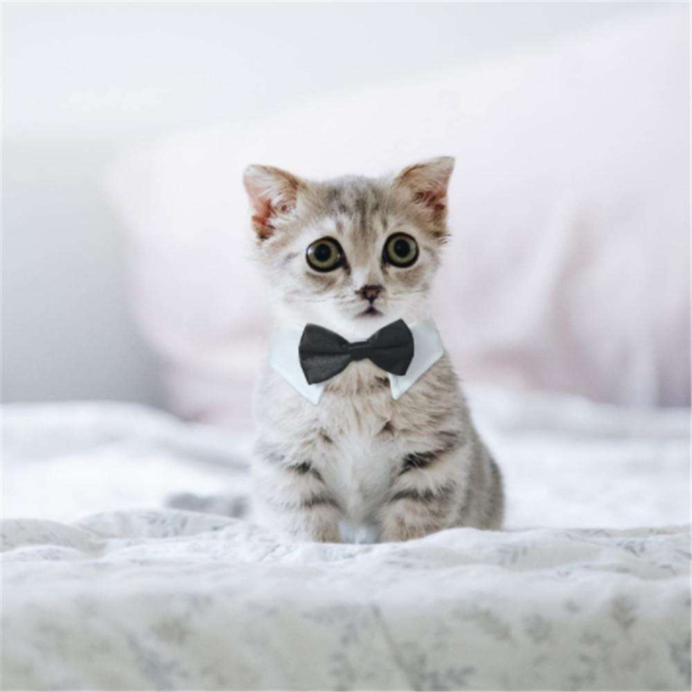 Birthday Party Cat Kitten Weddings Necktie Bows Pet Formal Tuxedo Cat Tuxedo Collar Dog Bow Tie