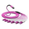 Zhongtian Hengke MPO Multimode Fiber Optic Trunk Cable