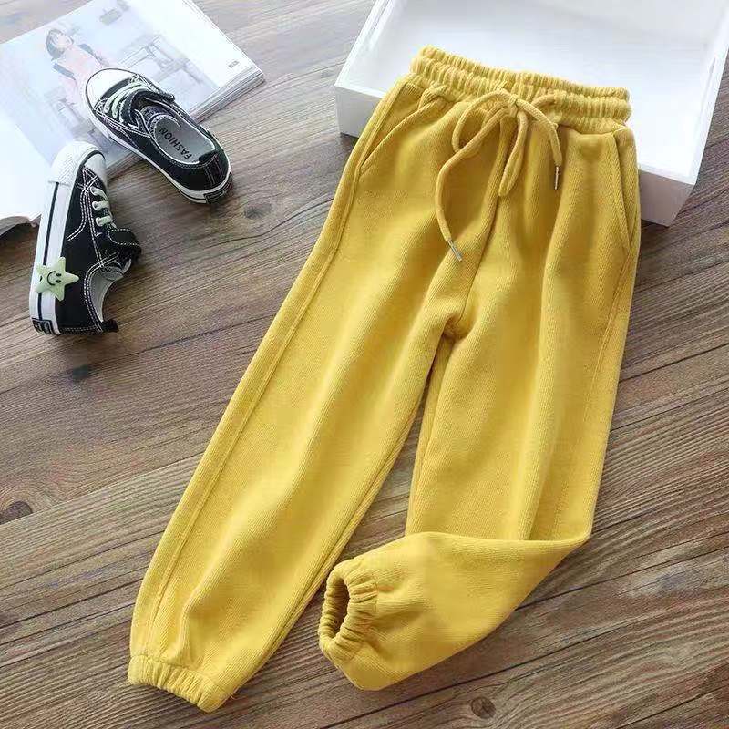 Осенне-зимние женские утолщенные бархатные спортивные штаны, плюшевые женские спортивные штаны на шнурке, мягкие теплые штаны с внутренними карманами