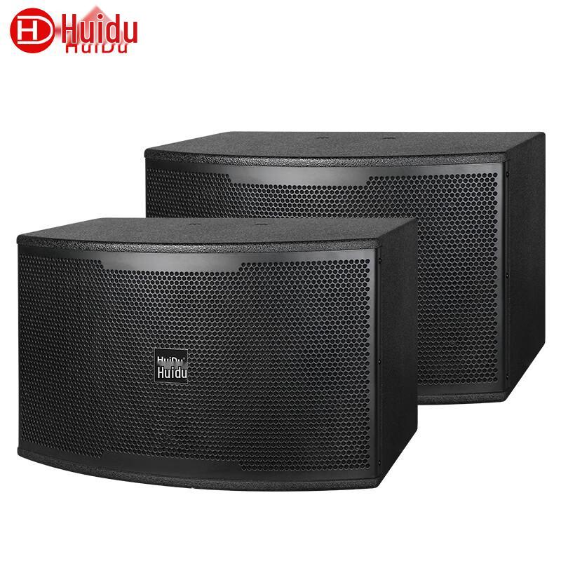 Huido CP-10F Professional 10-inch HIFI Speaker CN plug (adapter included)