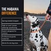 Dog Anti-Slip Leash 5FT with Metal Stopper - Durable No-Pull Training Lead for Small, Medium & Large Dogs - Comfortable Handle Nylon Rope,