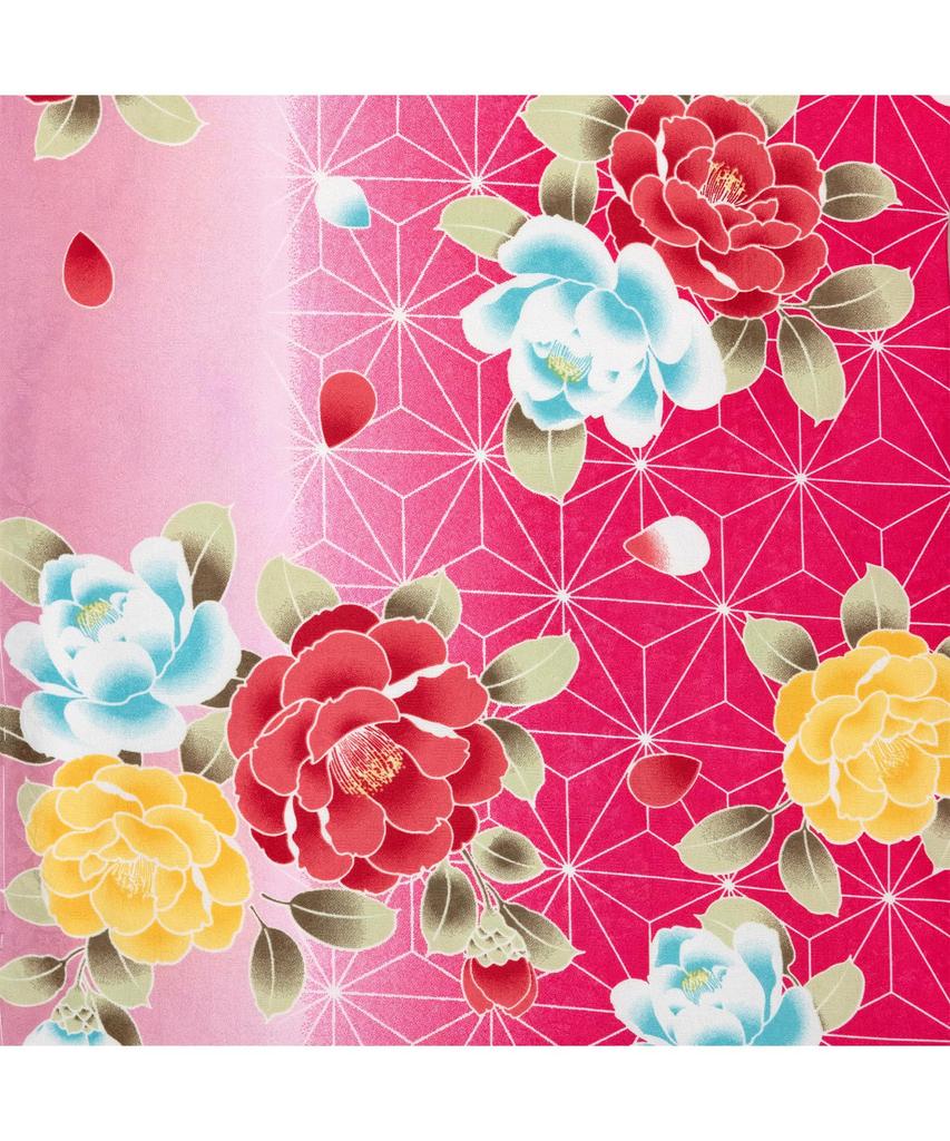 Выпускной колледж Хакама, великолепный комплект B ni Hakama [KYOETSU], церемония, студенты, женский, (16. Ёсихару Ранбу, LL)