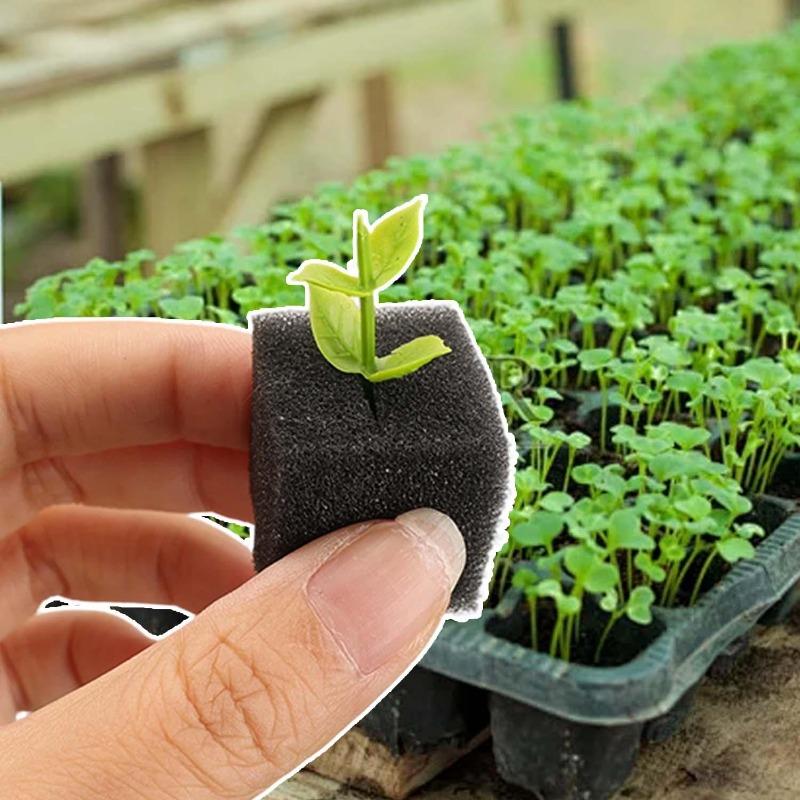 100-500Pcs Hydroponic Sponges Gardening Tool Square Soilless Cultivation Plant Seedling Greenhouse Sponge Vegetable Bud Growth