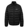 Mens Dalent Padded Jacket