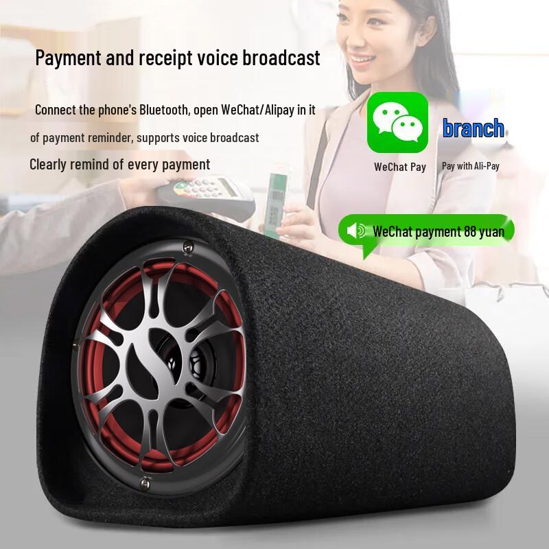 Soaiy D-Series Car Audio Subwoofer Bluetooth Speaker CN plug (adapter included)
