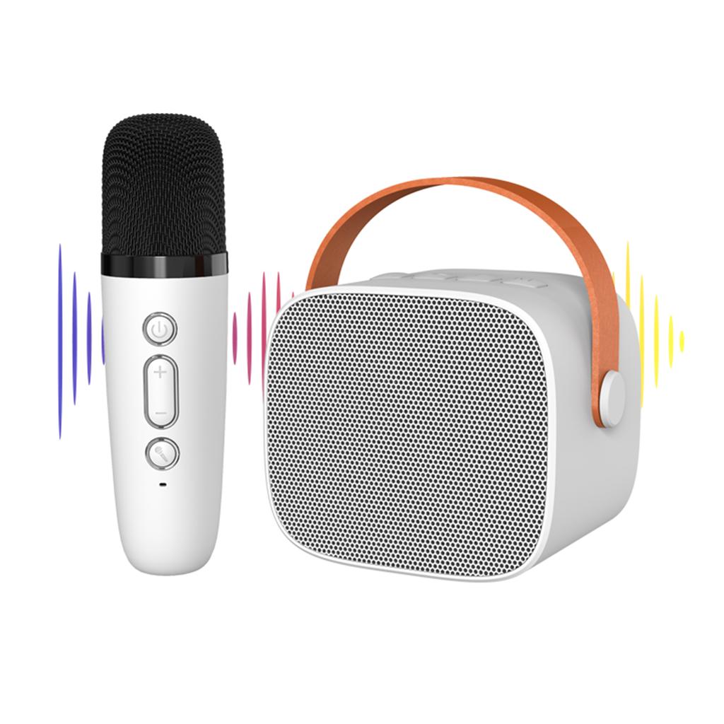 Мини-караоке-динамик BT для караоке с беспроводными микрофонами для домашней вечеринки для взрослых и детей