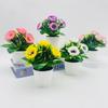 Artificial Mini Peony Potted Flowers For Indoor Home Styling Photography Session