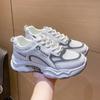 Korean Version of Daddy Women's Shoes Autumn New Student All-match Sports Shoes Women's Heightened Casual Shoes