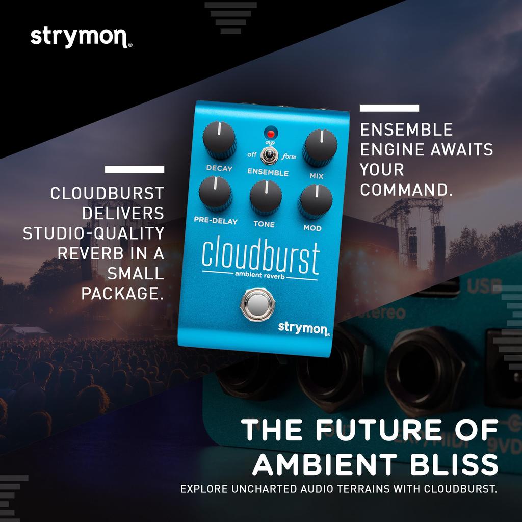 Strymon/Cloudburst Cloudburst Ревербератор Strymon