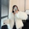 Autumn and Winter New Toka Imitation Fox Fur Light Fur Women's Winter Short Fur Short Coat