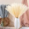 Beautiful for Wedding Party Decor Fluffy Pampas Bouquet Artificial Flowers Pampas Grass Fake Reeds