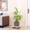 Rectangular Mobile Plant Pot Caddy