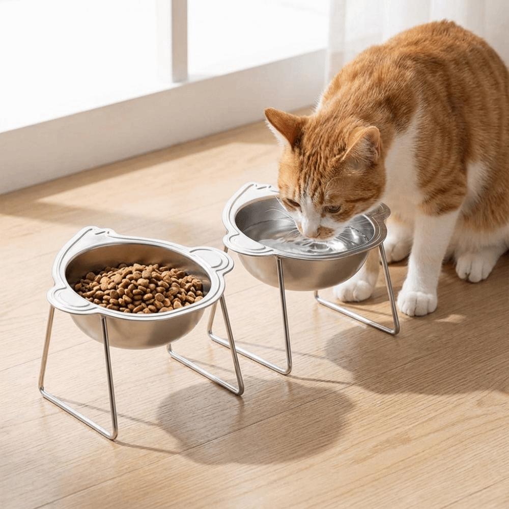 Stainless Steel Elevated Pet Bowl 15 Degree Inclined Pet Feeder Container Wet Dry Food