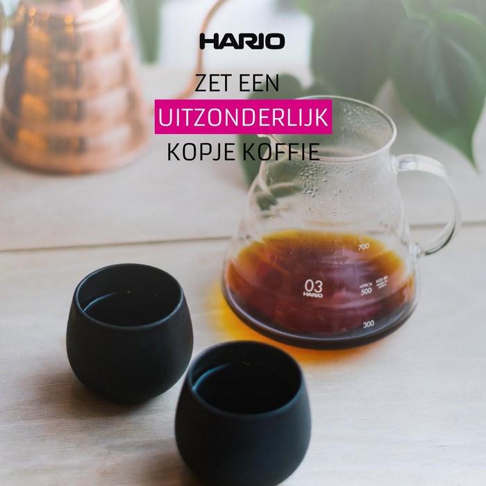 Кофейный сервер HARIO V60 с воронкой, 800 мл, прозрачный XGS-80TB