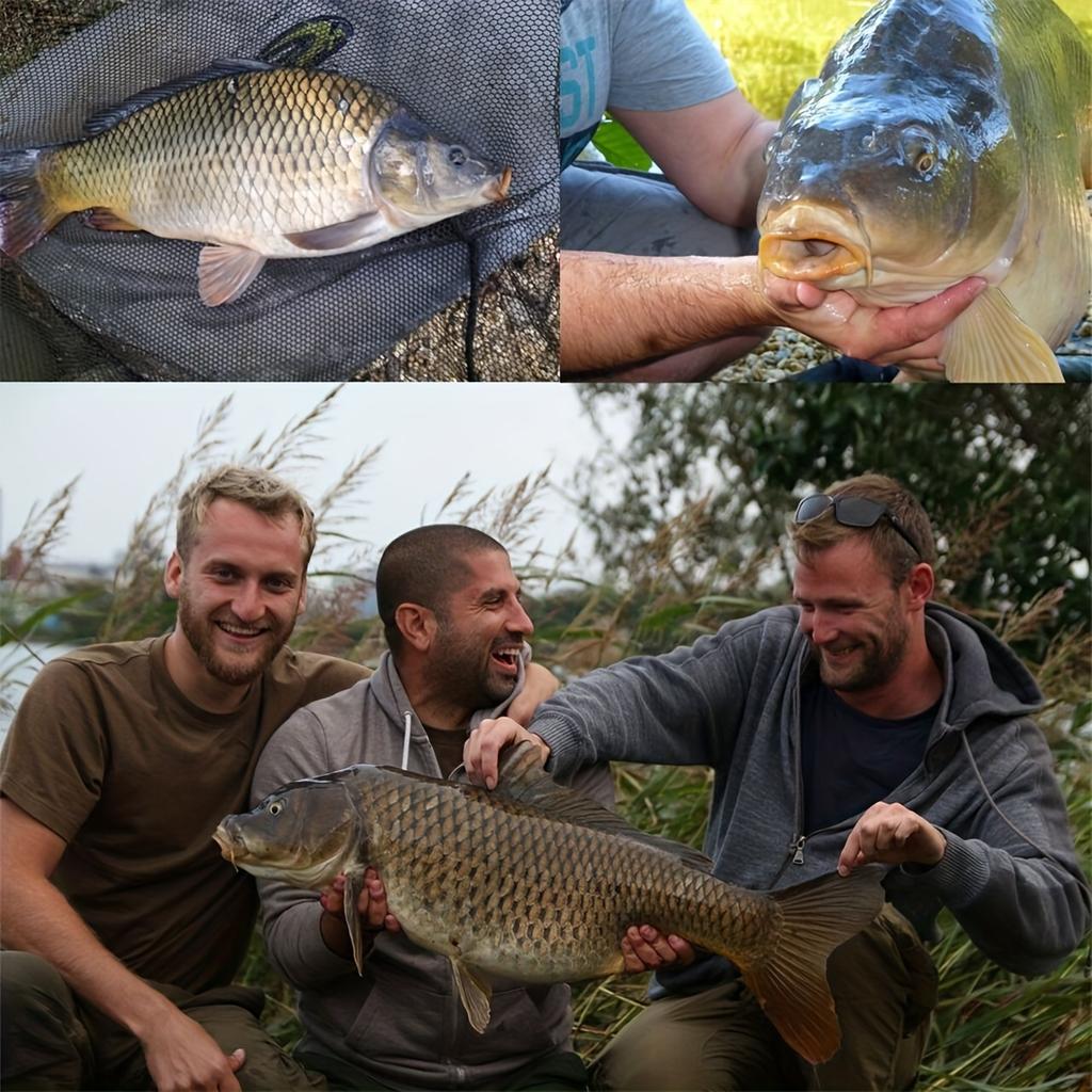 Приманка для рыбы, замаскированная под раковину, с различными ароматами, плавающая имитация приманки для рыбы, имитация плавучести при ловле европейского карпа,